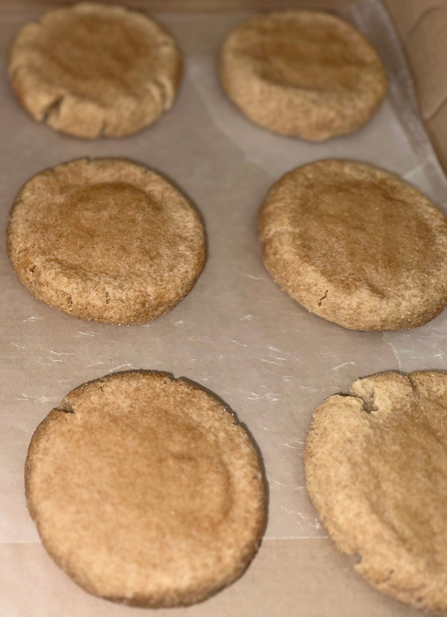 Snickerdoodle
