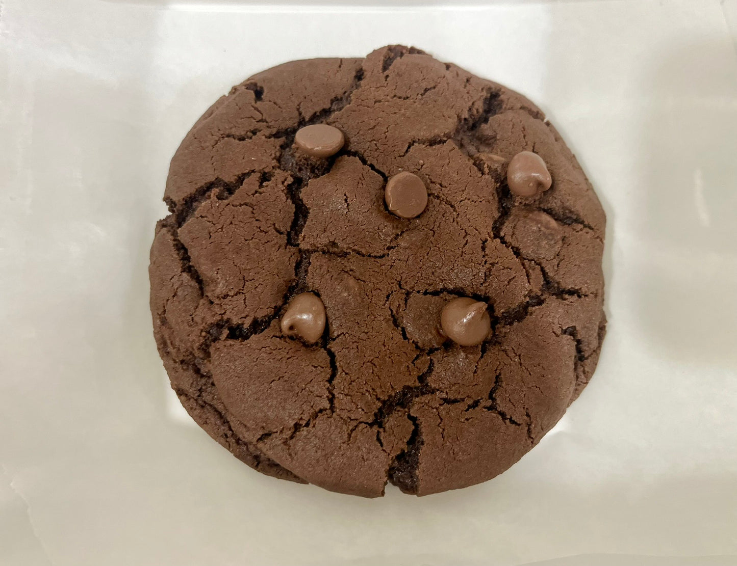 Chocolate Chocolate Chip