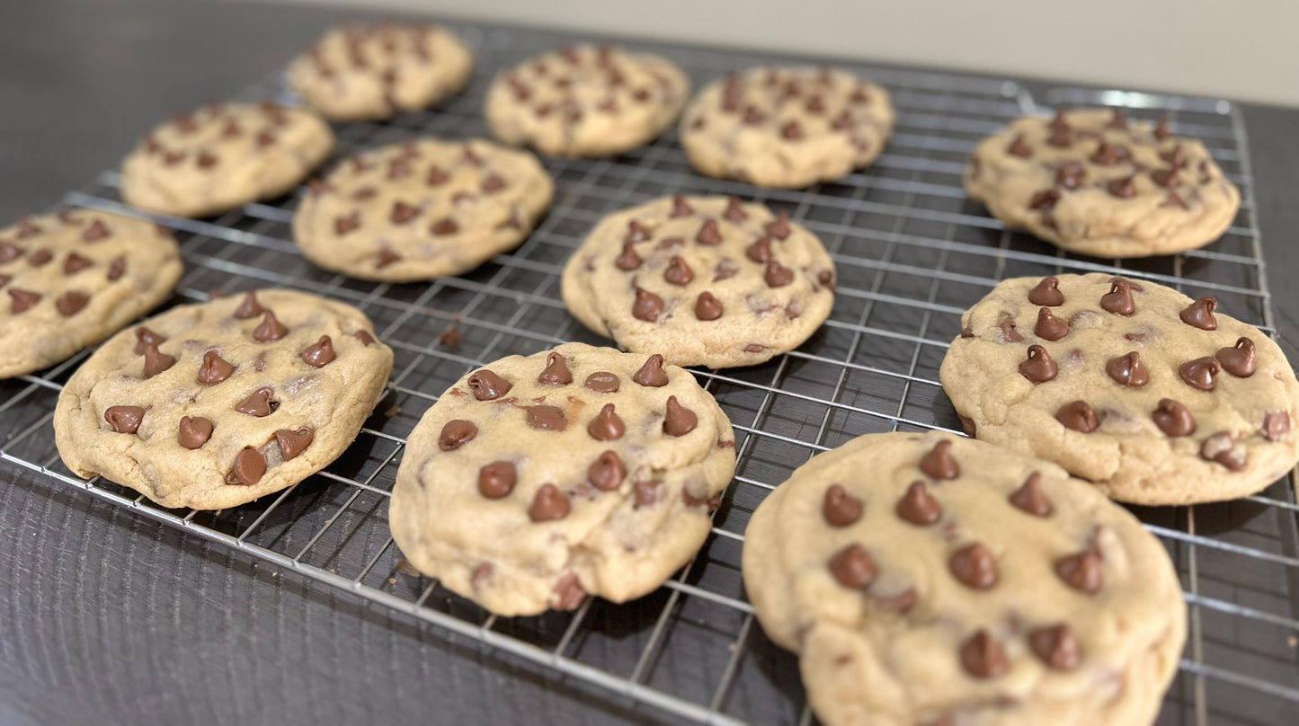 Chocolate Chip
