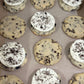 Dozen